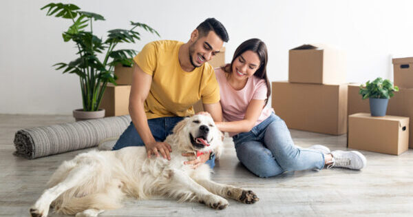 Moving with Pets: Tips for a Smooth Transition