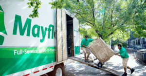 Movers or Fakers Brochure